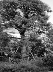 周口注册公司